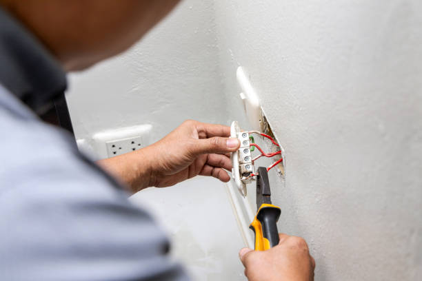 Best Electric Panel Repair  in Church Point, LA